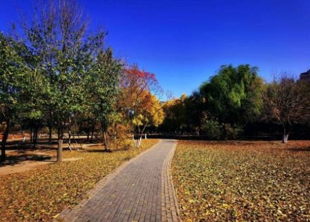 Earthone Dubai Public park