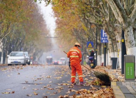 Earthone Dubai Main road